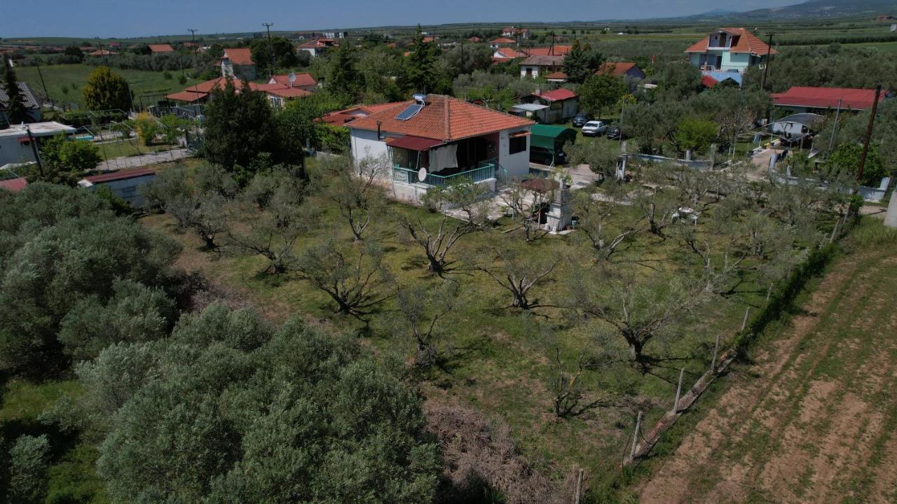 Dream In Chalkidiki 2 Bedroom Villa With Garden Nea Triglia Экстерьер фото