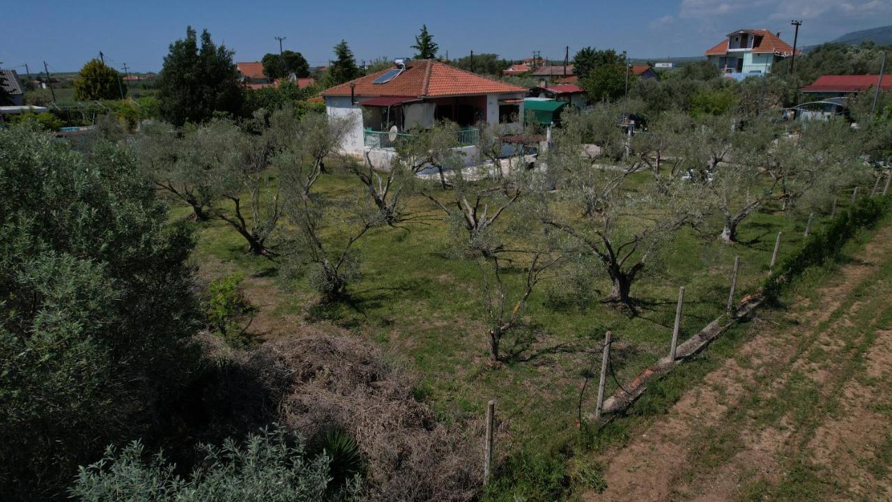 Dream In Chalkidiki 2 Bedroom Villa With Garden Nea Triglia Экстерьер фото